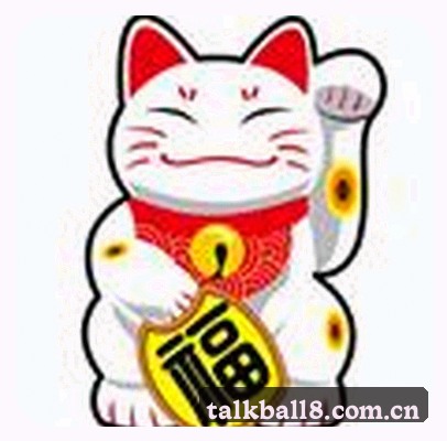 赵总