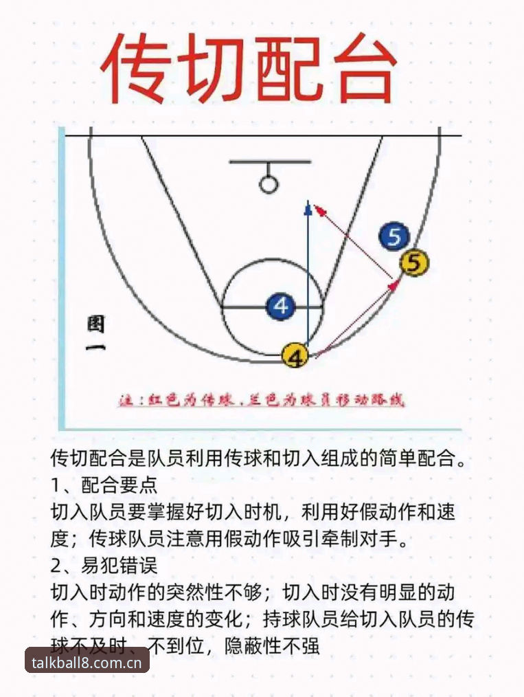 谈球吧体育平台完整使用指南：从新手到高手的全方位解析